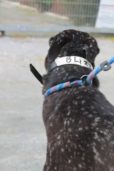 11330027 1014948785189487 7331181440837331159 n