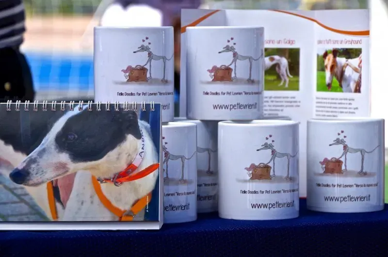 11334069 10202939884177399 3075183713699148973 o