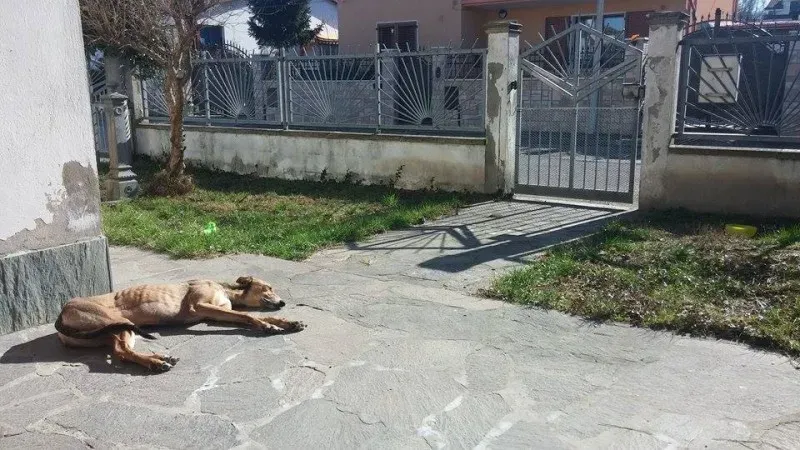 11350024 1423736191285047 1502509200 n