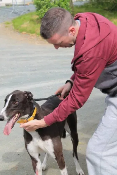 11350423 1014948528522846 1216267447610667694 n