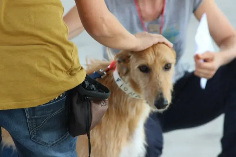 11350506 834201149997075 8662415610182108078 n