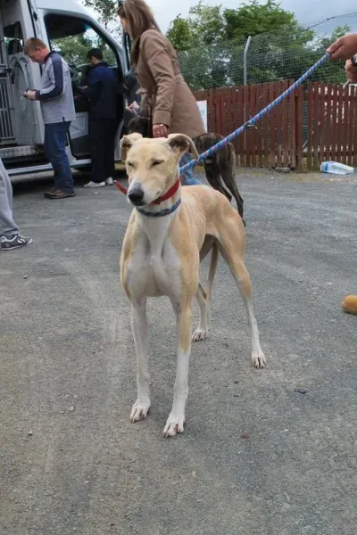 11350536 1014948241856208 8826376389964335310 n