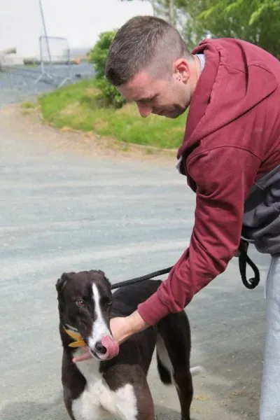 11350556 1014948531856179 6717804637670889543 n