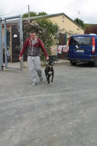 11350608 1014947798522919 2404170452948449791 n