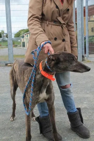 11350633 1014948111856221 714107809594989820 n