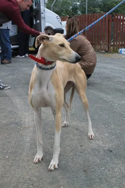 11350697 1014948151856217 3559609635205759491 n