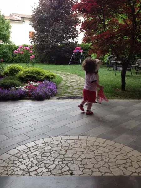 11350885 847118052042578 5655246699616591881 n