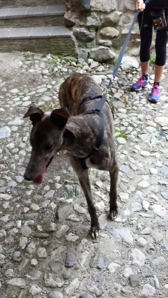 11351155 852786168146321 7837274023577037420 n