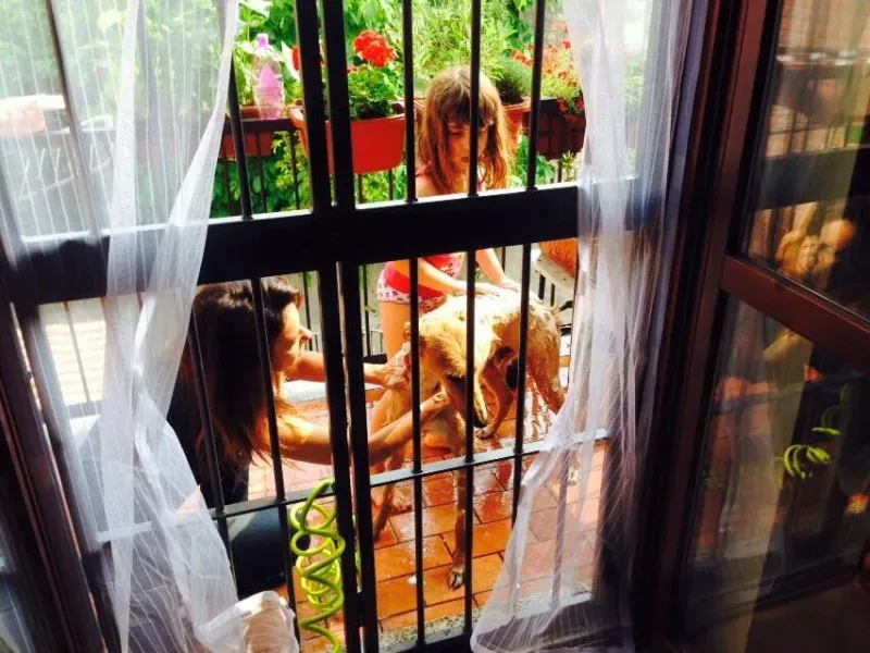 11351228 852141734877431 8426836679616329839 n