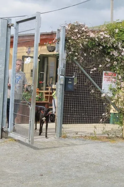 11351233 1014948425189523 3060591042031187472 n