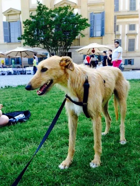 11351265 852752994816305 3135811683332728441 n