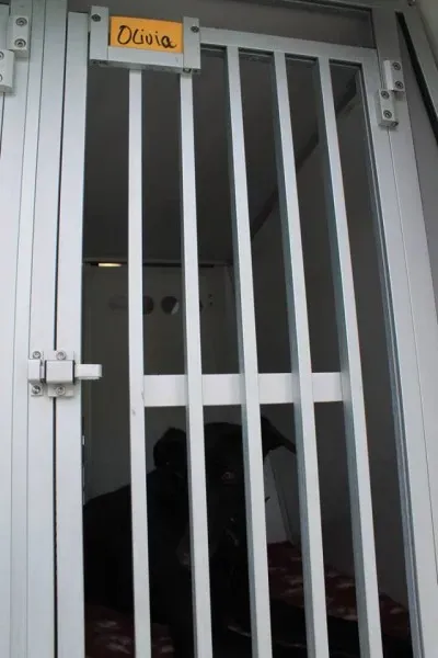 11351290 1014949631856069 8217320535625588506 n