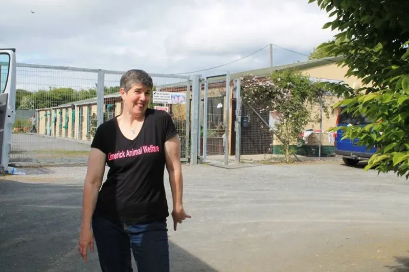 11351315 1014946935189672 5662320241593234176 n