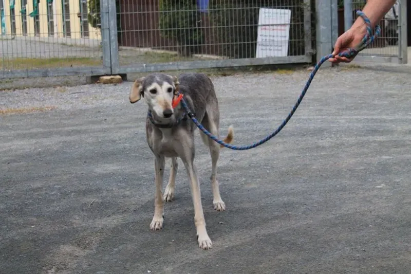 11351435 1014947315189634 4618546172159620366 n