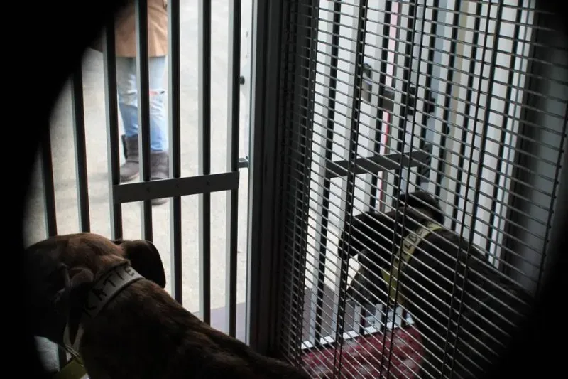 11351451 1014949301856102 1472472002385220814 n