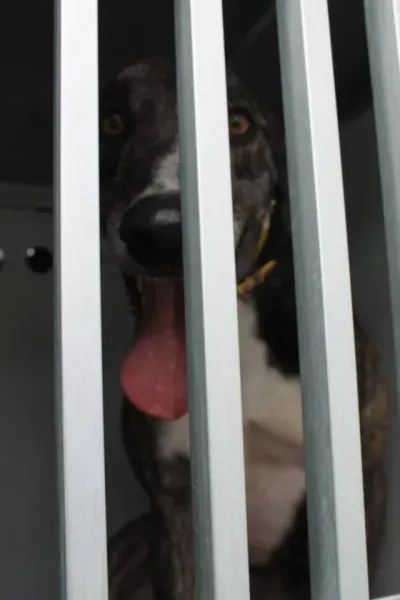 11351451 1014949495189416 54320602253579841 n