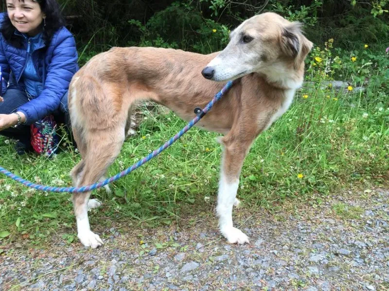 11352237 924577047603321 1707185526 n