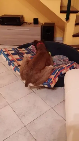 11352519 1423736224618377 1932134782 n