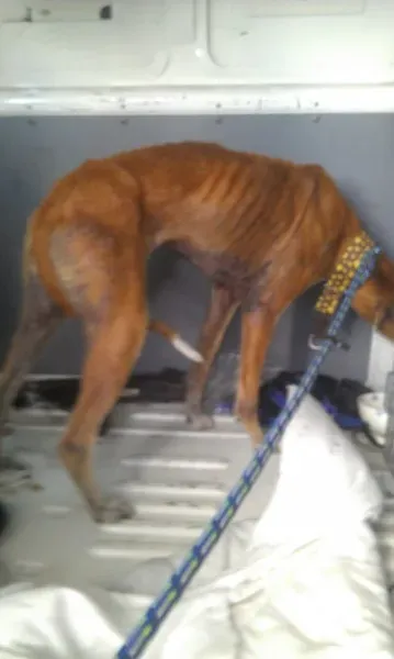 11354582 10205827764266857 850920766 o