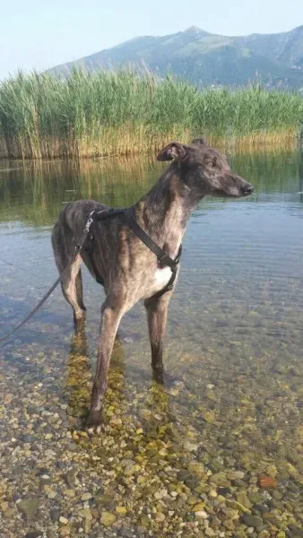 11355400 860157014075903 1591209817 n