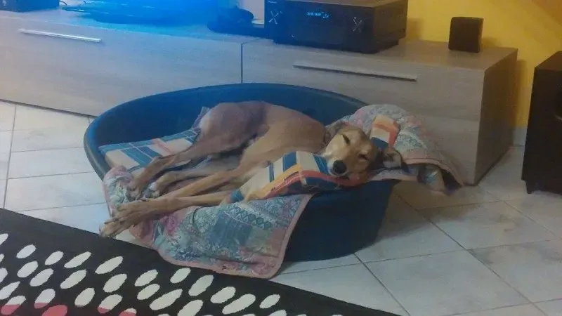 11358666 1423736144618385 642565533 n