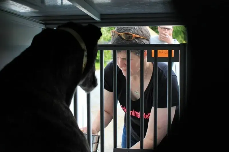 11377145 1014949255189440 6598157674155116837 n