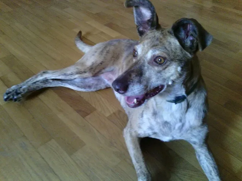 11377192 370235466516275 2994351893645159300 n