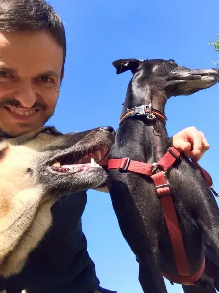 11377198 10153400690553069 5545695410203097430 n