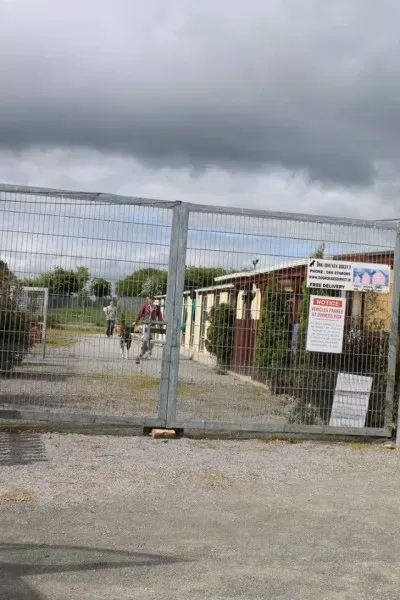 11377200 1014948248522874 5290041852563581968 n