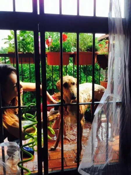 11377243 852141758210762 7143257655086238993 n