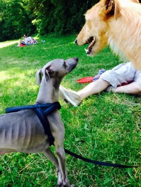 11377344 852752648149673 4390129912507584211 n