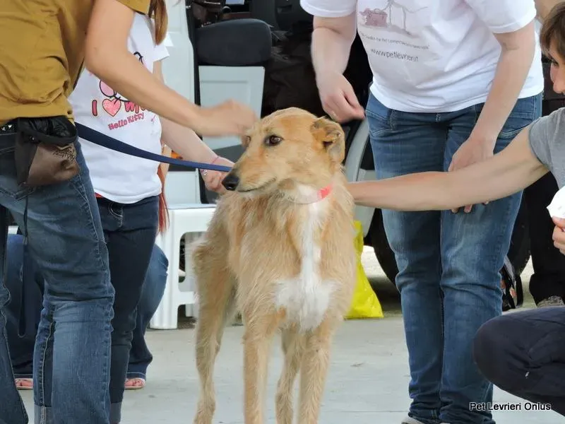 11377351 835088909908299 4285425819650139079 n