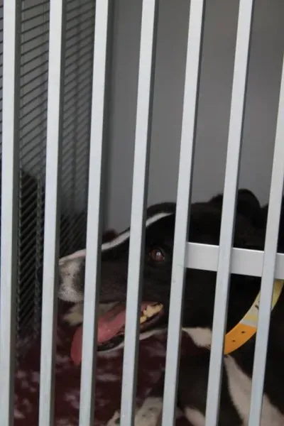 11377389 1014949058522793 5897918004089477929 n