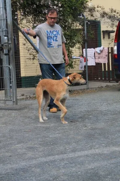 11377394 1014947125189653 5917410345640832737 n