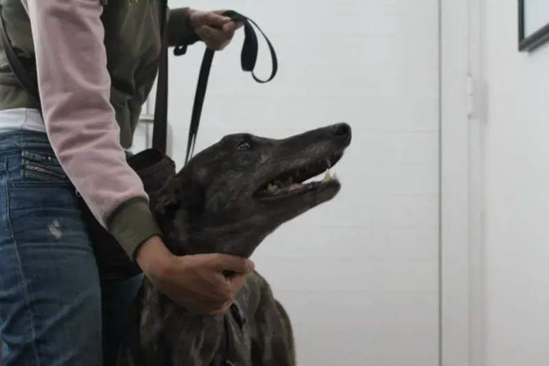 11390277 837751962975327 5019250334115458112 n