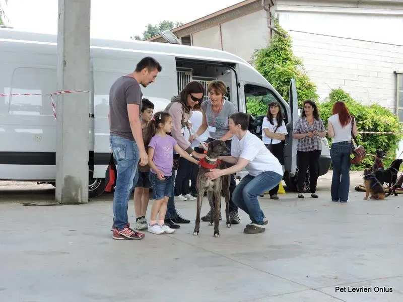 11390339 835088376575019 6198365975905762524 n