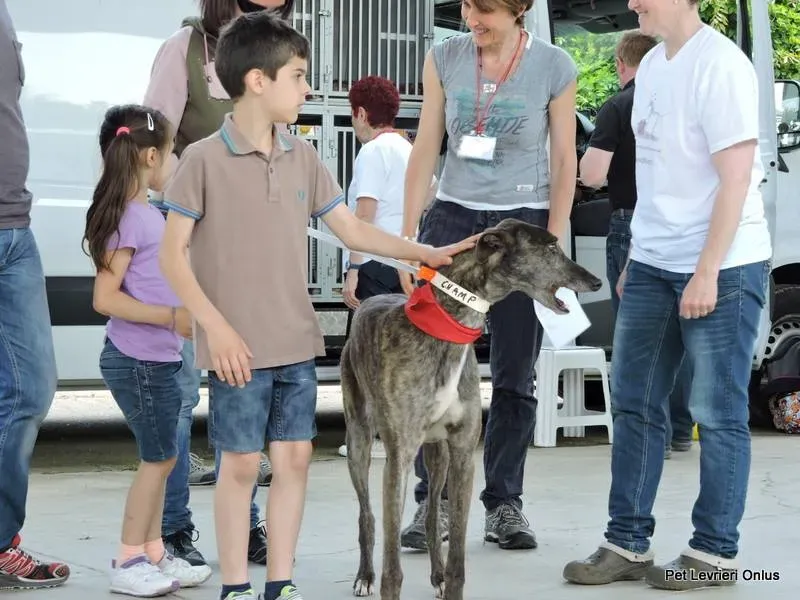 11391157 835088589908331 5217908431604054182 n