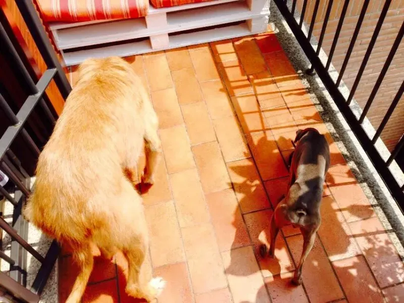 11391348 852164181541853 8238058078866192912 n