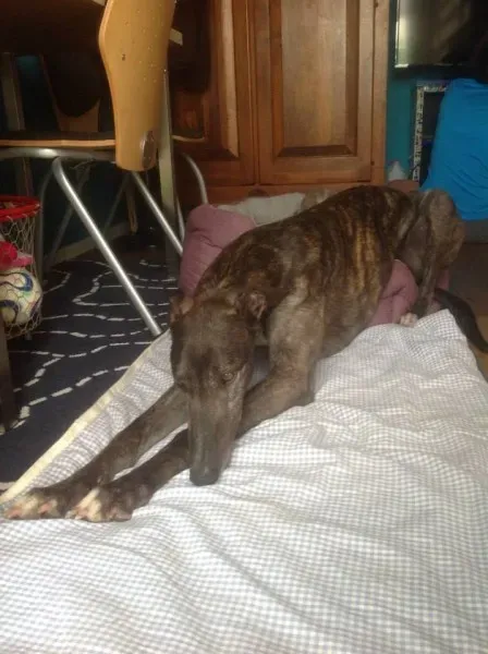 11391429 837751606308696 826939991231122700 n