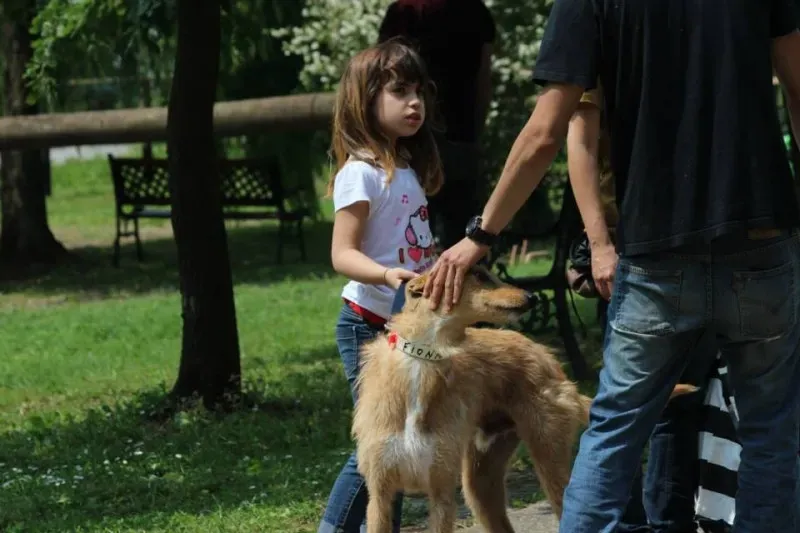 11391467 834201416663715 4200583614251345789 n