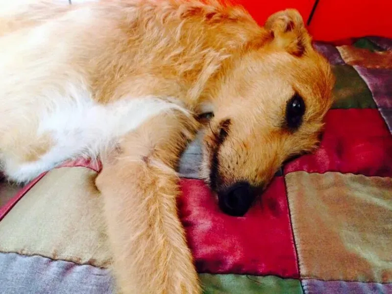 11391476 852163954875209 5346546156189687439 n