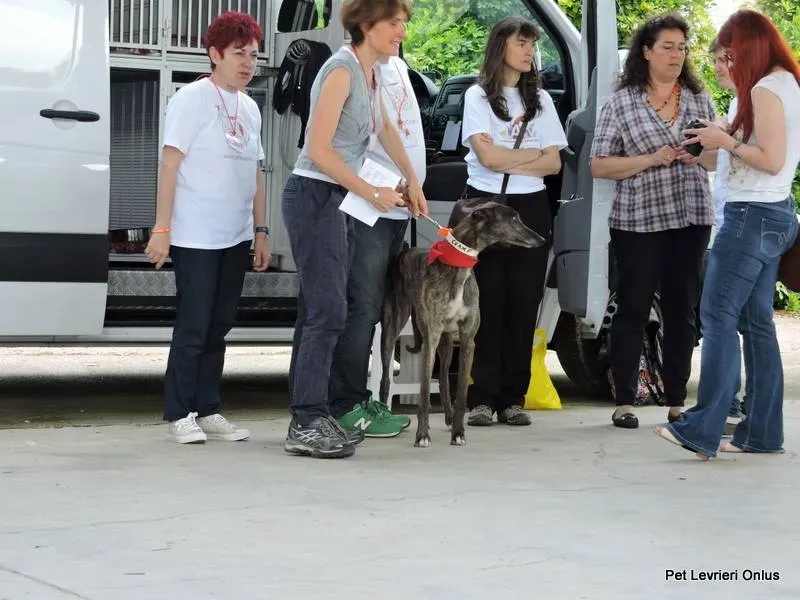 11392776 835088359908354 7927168701224305122 n