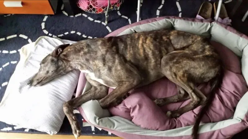 11392792 852786114812993 8747205441700459577 n