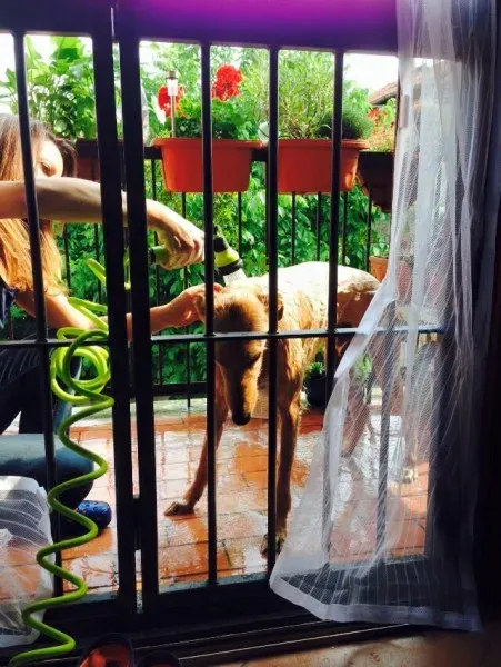 11392794 852141801544091 4903248085787370440 n