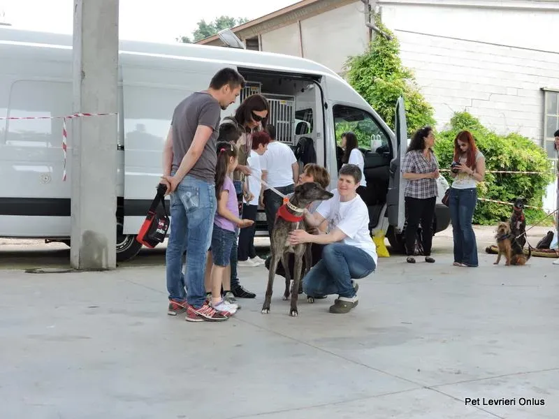 11393263 835088446575012 8525930605675924033 n