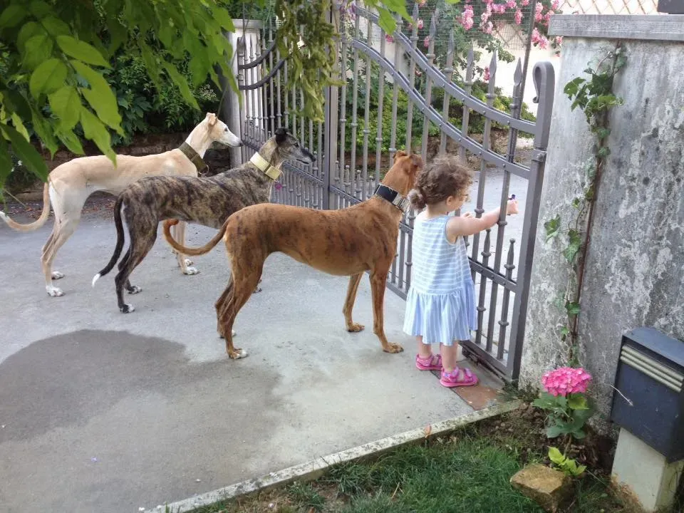 11402670 847219135361943 6605695612369411940 n