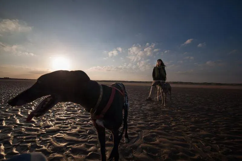 11403112 847701688647021 3291806642974409804 n