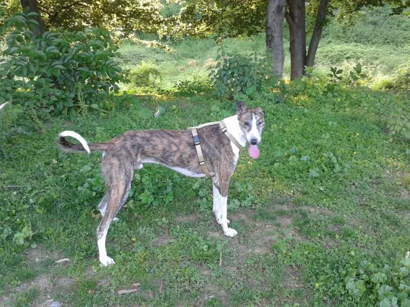 11403134 10204760153940031 4135298179615783997 n