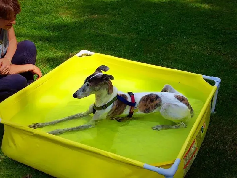 11403306 852820341468489 5343023262263009538 n