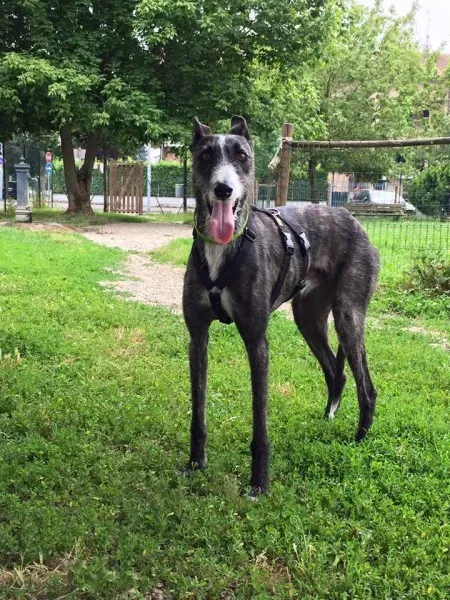 11403414 852822274801629 2513315106467013237 n